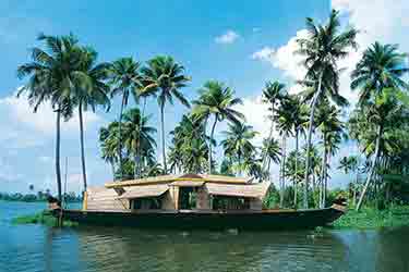 Kerala Hill Station and Backwater Tour
