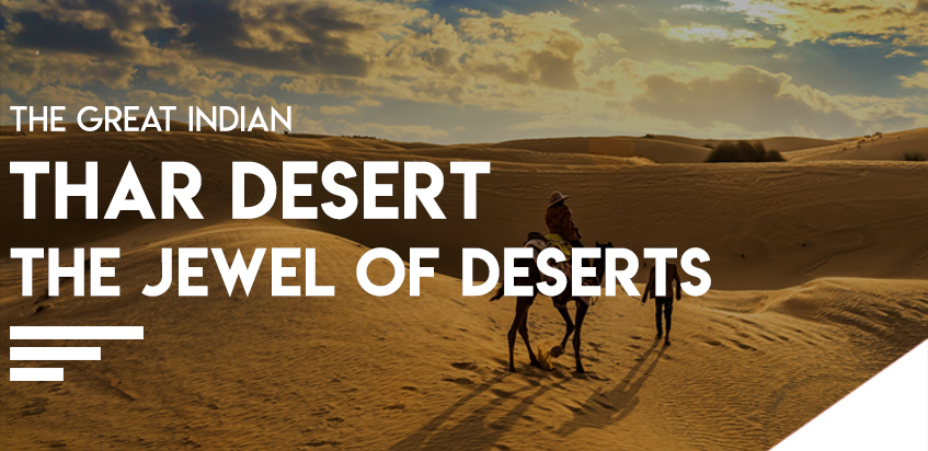 The Great Indian Thar Desert - The Jewel Of Deserts