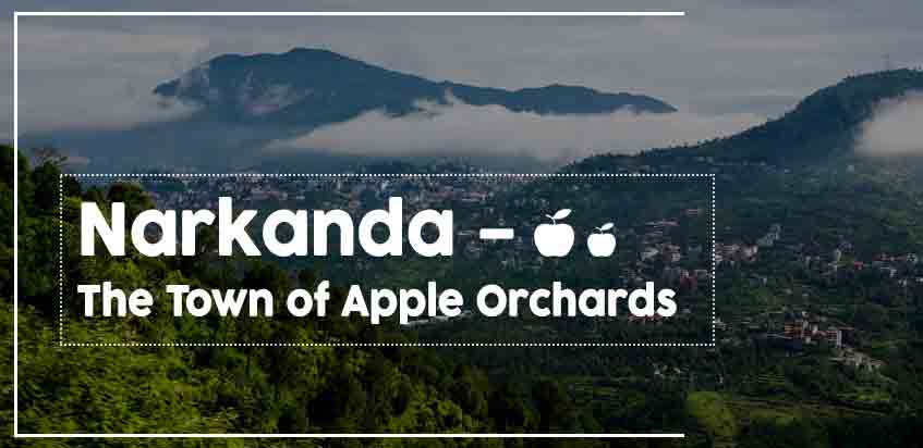 Narkanda – The Town Of Apple Orchards
